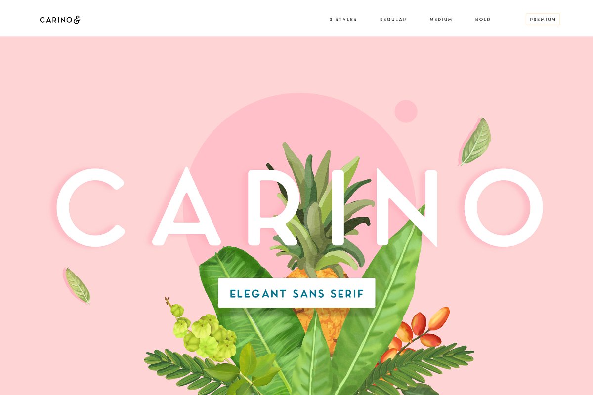 Carino Sans Font preview
